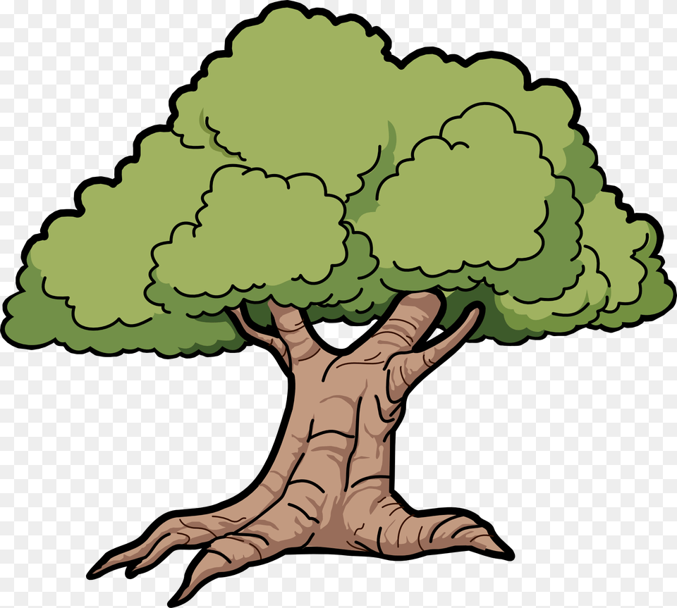 To Use Public Oak Tree Clipart, Plant, Baby, Person, Art Png