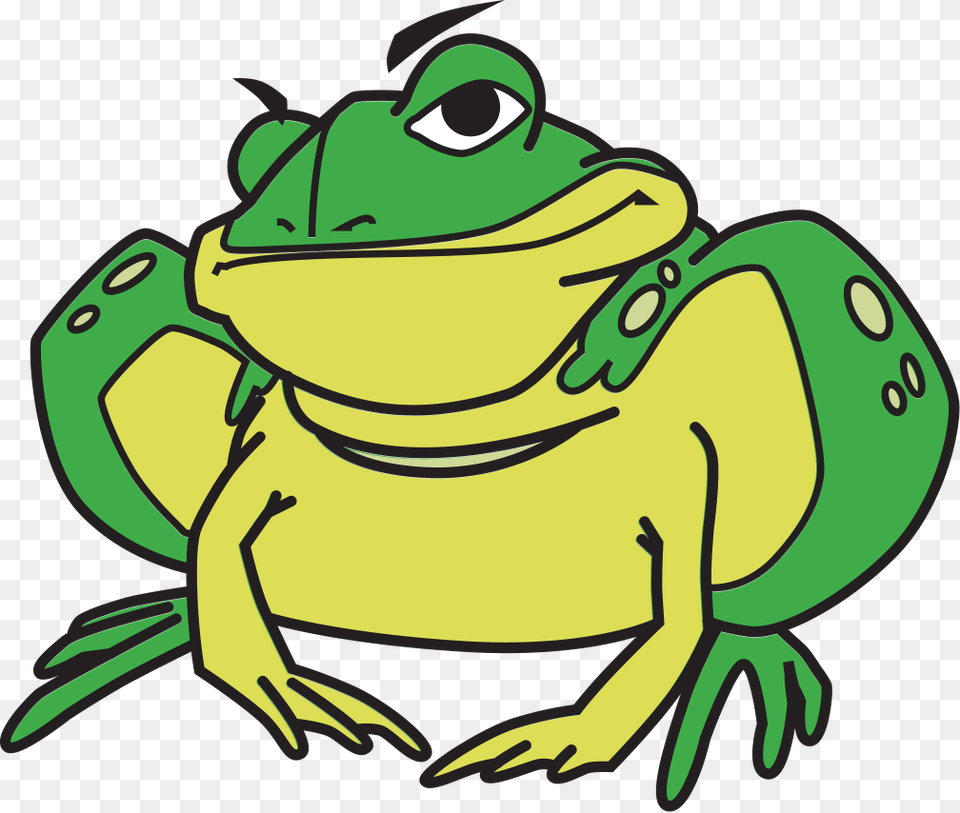 Toad, Amphibian, Animal, Frog, Wildlife Png