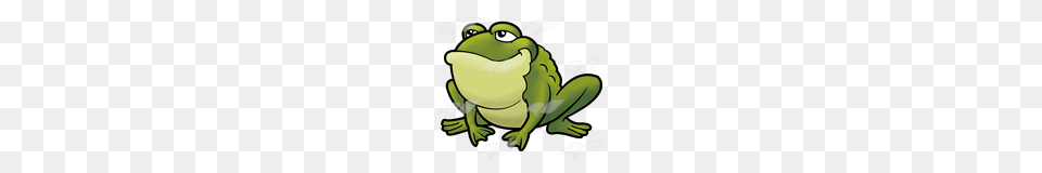 Toad Clipart Green Thing, Amphibian, Animal, Frog, Wildlife Png
