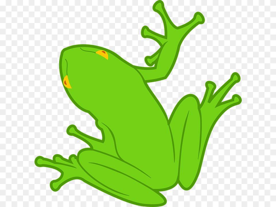 Toad Clipart Katak, Amphibian, Animal, Frog, Wildlife Free Png