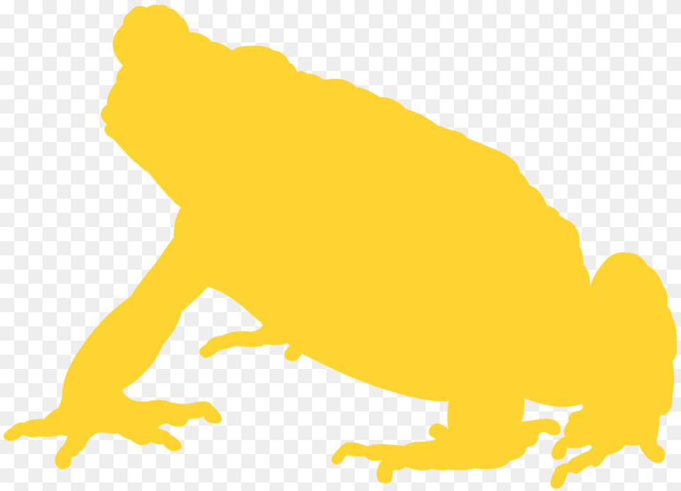 Toad Silhouette, Animal, Wildlife, Amphibian, Frog Png Image