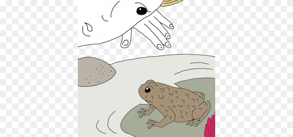 Toad Spirit, Animal, Wildlife, Bear, Mammal Free Png