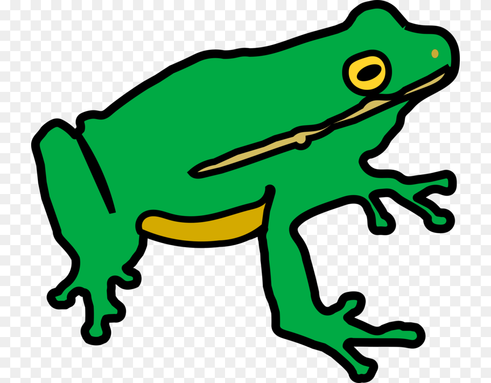 Toad Tree Frog Amphibian Lithobates Clamitans, Animal, Wildlife, Person, Tree Frog Png