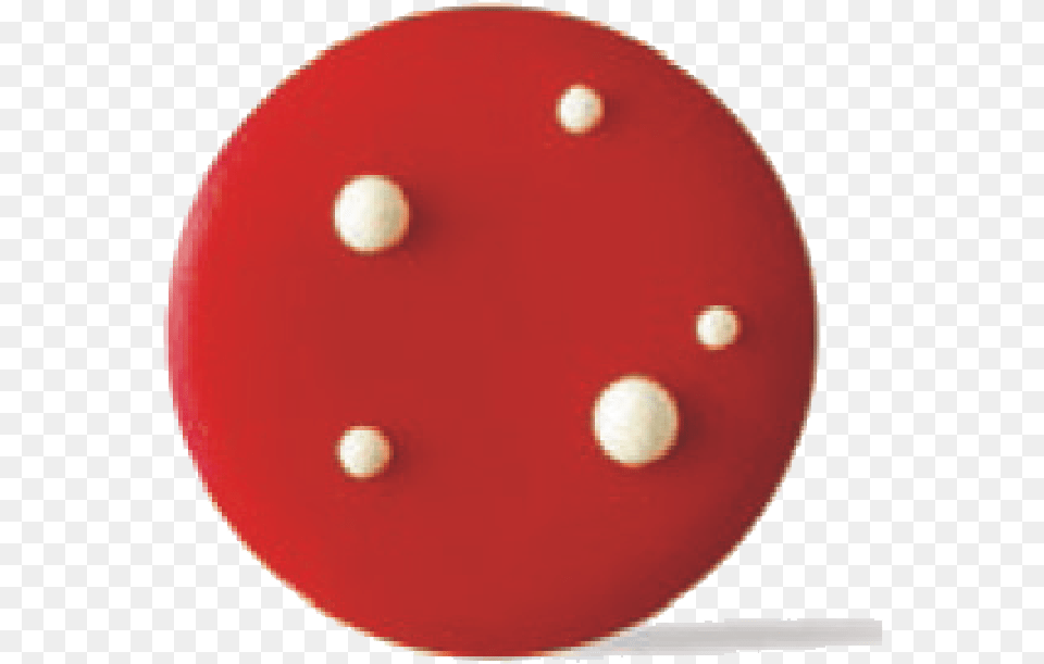 Toadstool Circle, Ball, Rugby, Rugby Ball, Sport Png Image