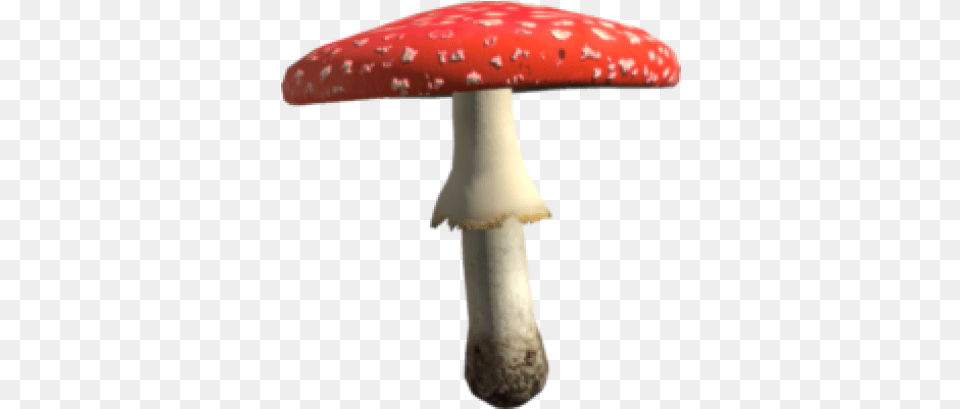 Toadstool Mushroom Amanita, Agaric, Fungus, Plant Free Transparent Png
