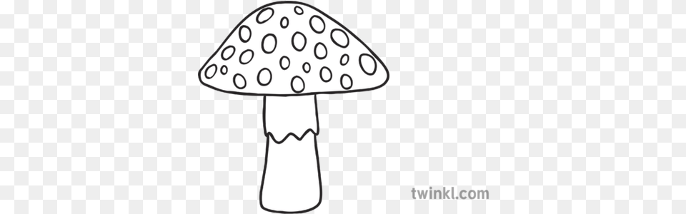 Toadstool Mushroom Fungus Plant Ks1 Chickpeas Black And White, Cross, Symbol, Agaric Free Transparent Png