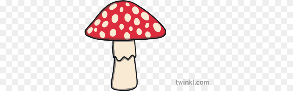 Toadstool Mushroom Fungus Plant Ks1 Water Bottle Half Full, Agaric, Amanita Free Png