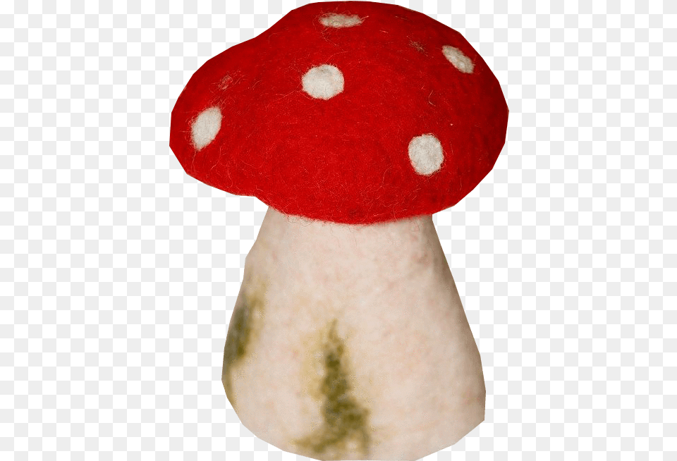 Toadstool Pictures Medicinal Mushroom, Agaric, Fungus, Plant, Amanita Free Transparent Png