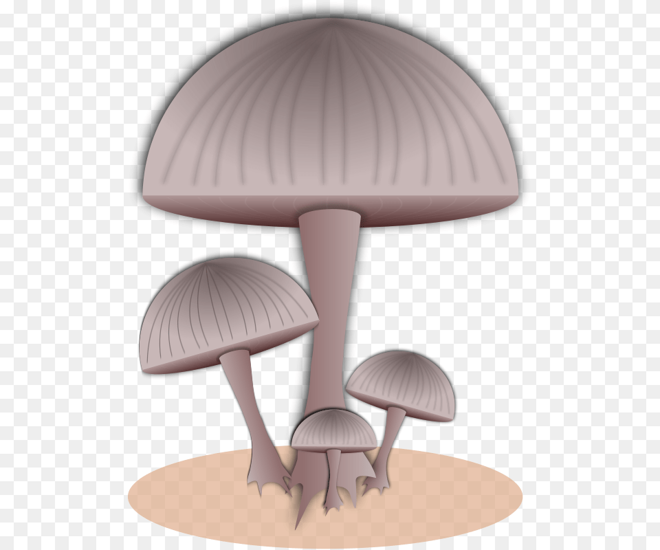 Toadstool Toad Mushroom, Fungus, Plant, Agaric, Lamp Png Image