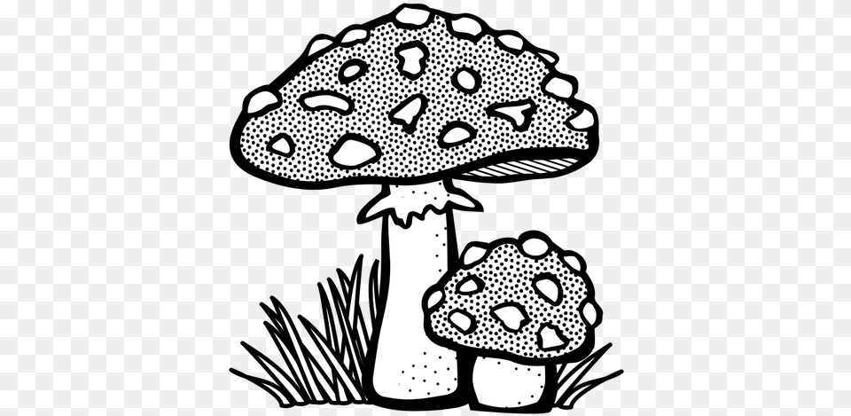 Toadstool Vector Royalty Mushroom Black And White, Fungus, Plant, Agaric, Animal Png