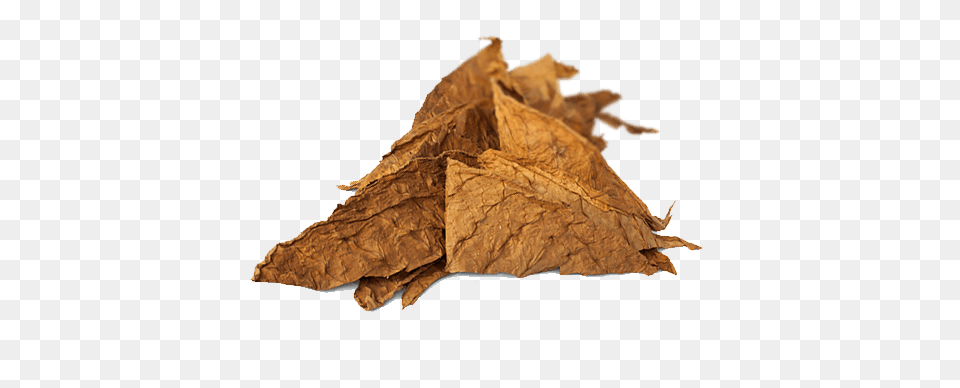 Tobacco, Leaf, Plant Free Png Download