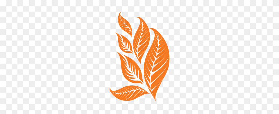 Tobacco, Leaf, Plant, Pattern, Art Free Transparent Png