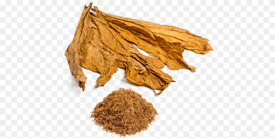 Tobacco, Leaf, Plant Png