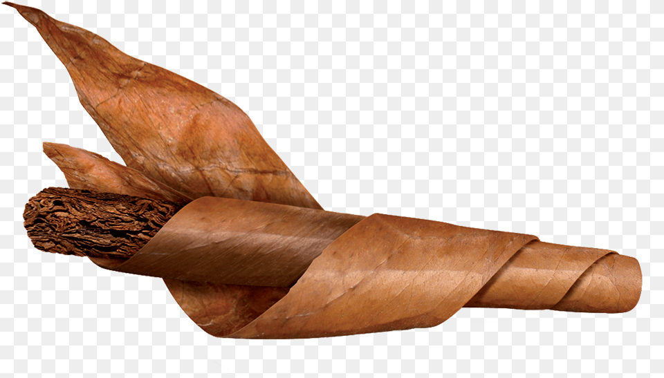 Tobacco Leaf Cigar Png