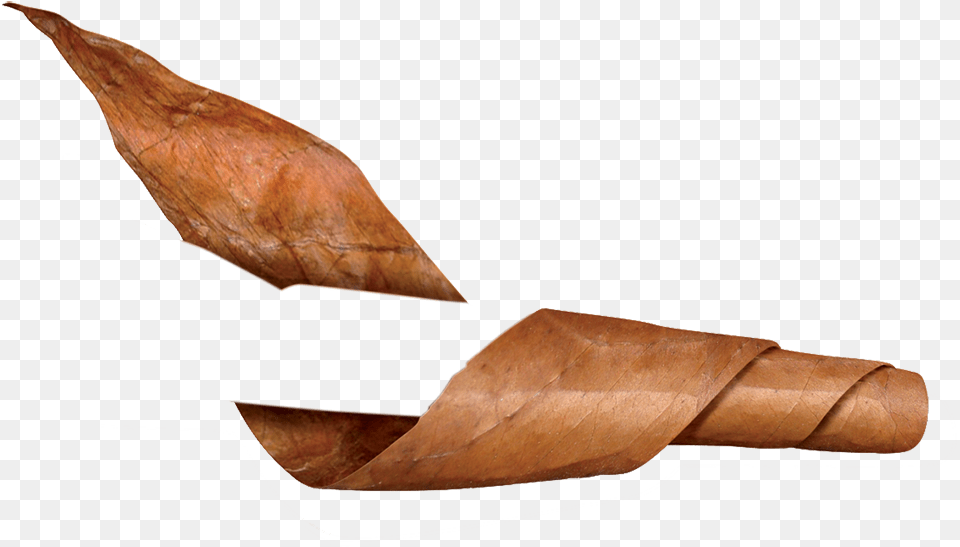 Tobacco Leaf Cigar Wood, Plant Png Image