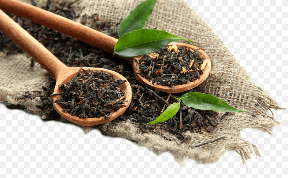 Tobacco Plant, Herbal, Herbs, Cutlery, Spoon Free Transparent Png