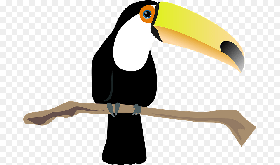 Toco Toucan Bird Clipart, Animal, Beak Free Png Download