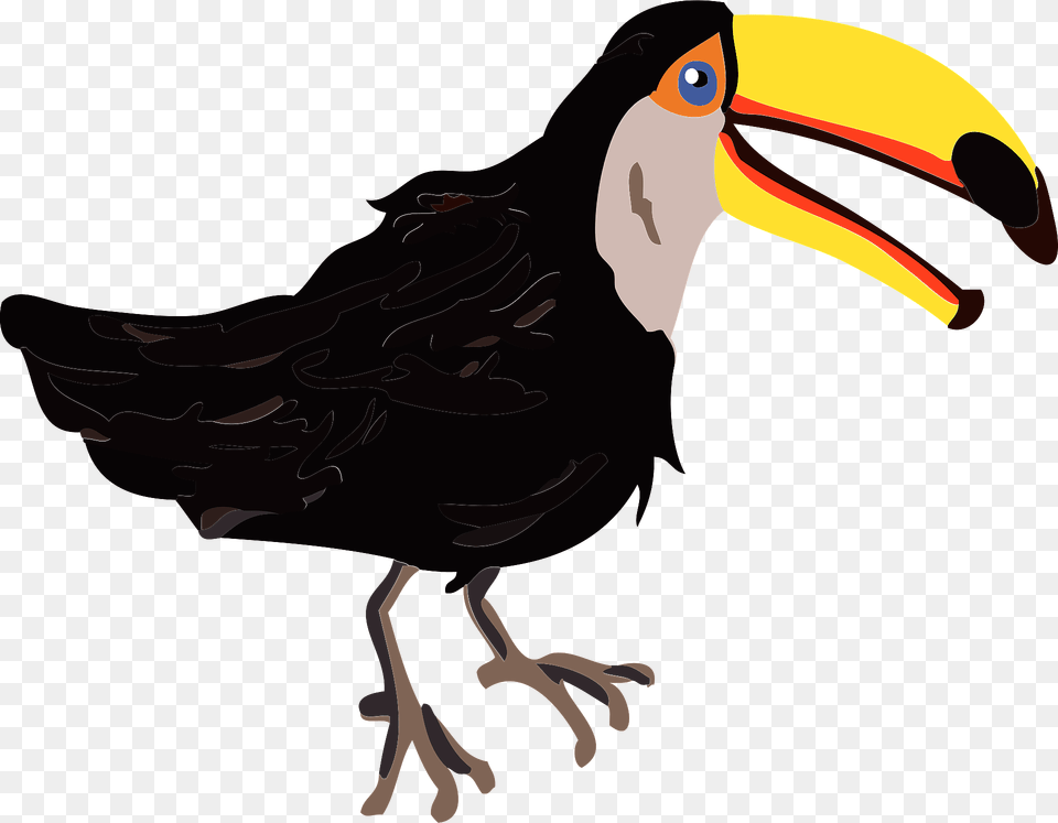 Toco Toucan Bird Clipart, Animal, Beak Png