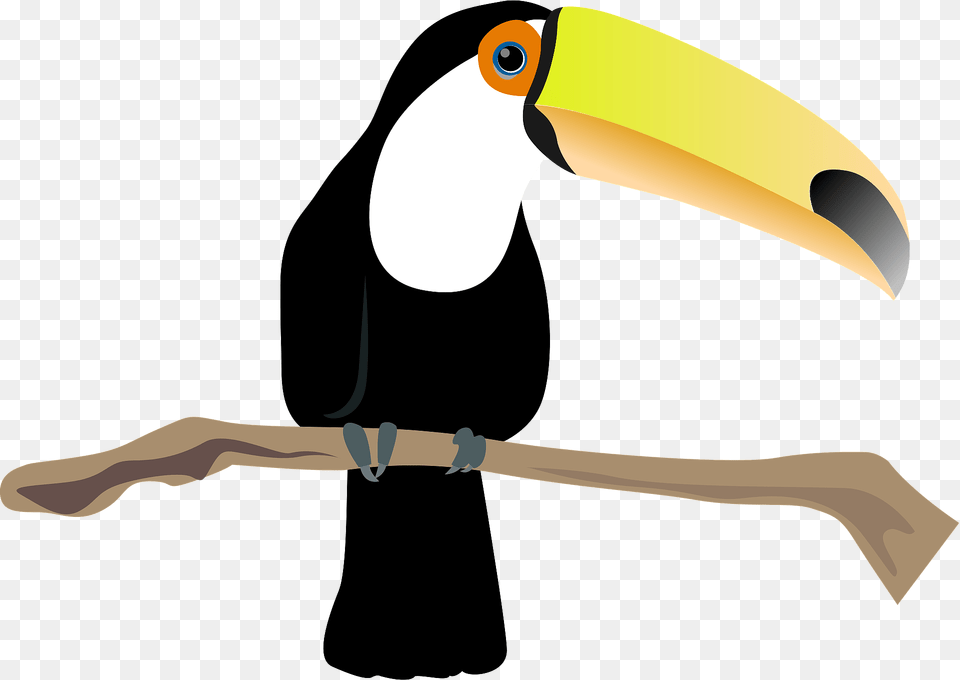 Toco Toucan Bird Clipart, Animal, Beak Png Image
