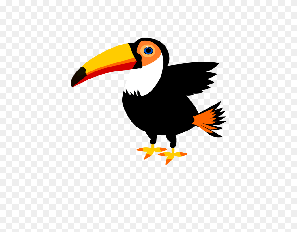 Toco Toucan Bird Istock Drawing, Animal, Beak, Aircraft, Airplane Free Png