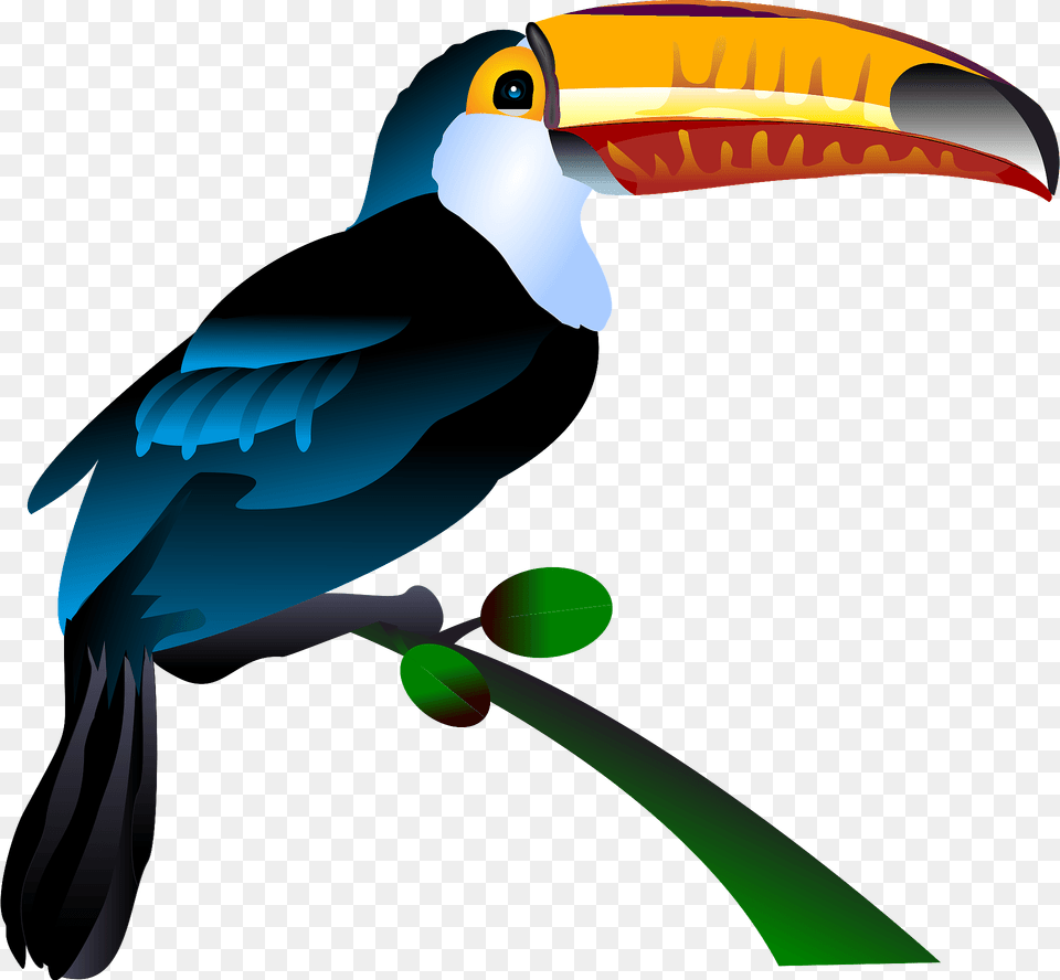 Toco Toucan Clipart, Animal, Beak, Bird, Fish Png Image
