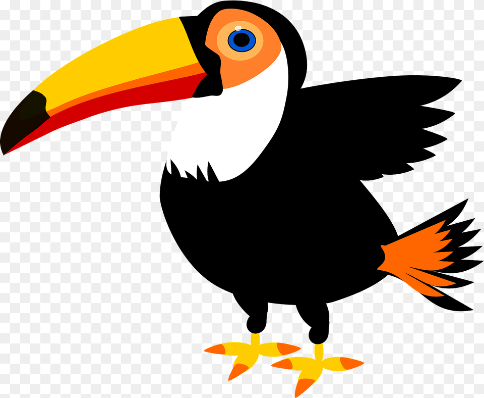 Toco Toucan Clipart, Animal, Beak, Bird, Fish Free Transparent Png