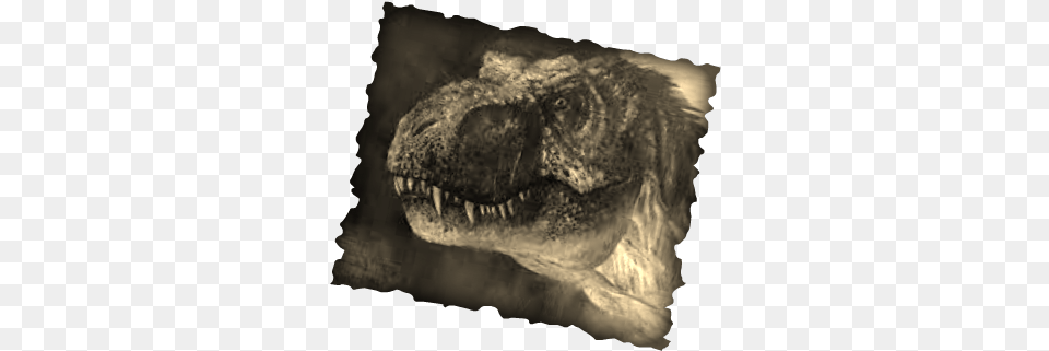 Today I Will Be Teaching You About A Tyrannosaurus Tyrannosaurus, Animal, Dinosaur, Reptile, T-rex Free Png