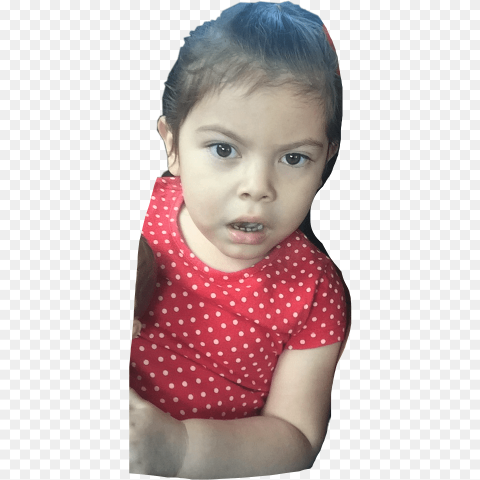 Toddler, Portrait, Baby, Photography, Face Png