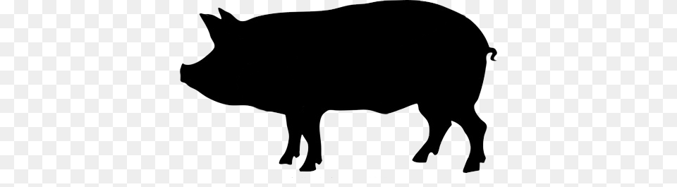 Todmorden Meat Produce Hand Reared Meat Butcher Delivery, Animal, Pig, Mammal, Hog Free Transparent Png