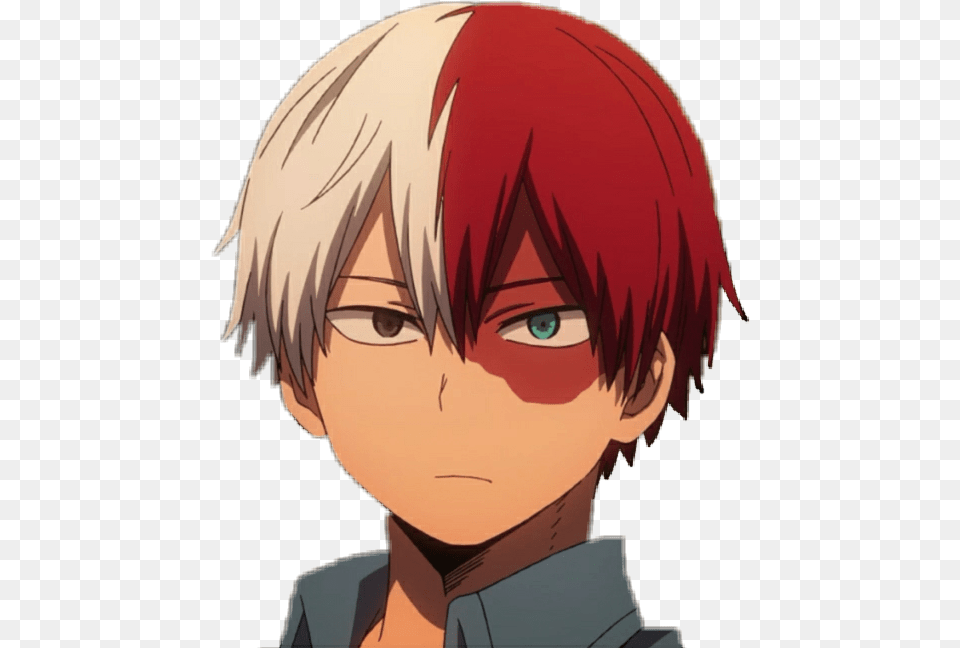 Todoroki Shouto Bokunoheroacademia Myheroacademia Anime Red And White Hair Boy, Adult, Person, Female, Woman Png