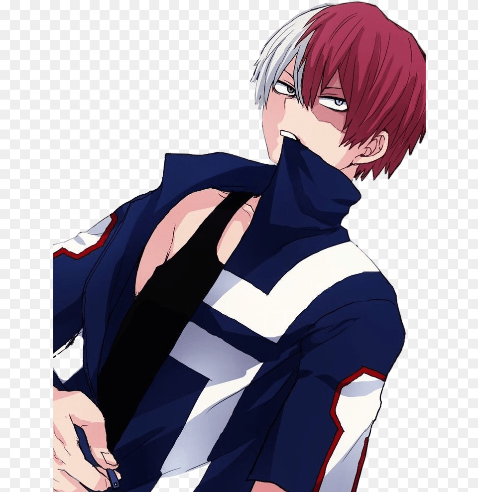 Todoroki Shouto Download My Hero Academia Todoroki, Adult, Person, Female, Woman Png