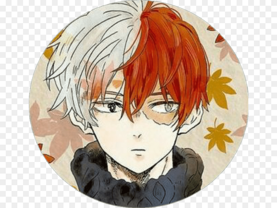 Todoroki Shouto Todorokishouto Bnha Myheroacademia Todoroki Shouto Autumn, Publication, Book, Comics, Adult Png