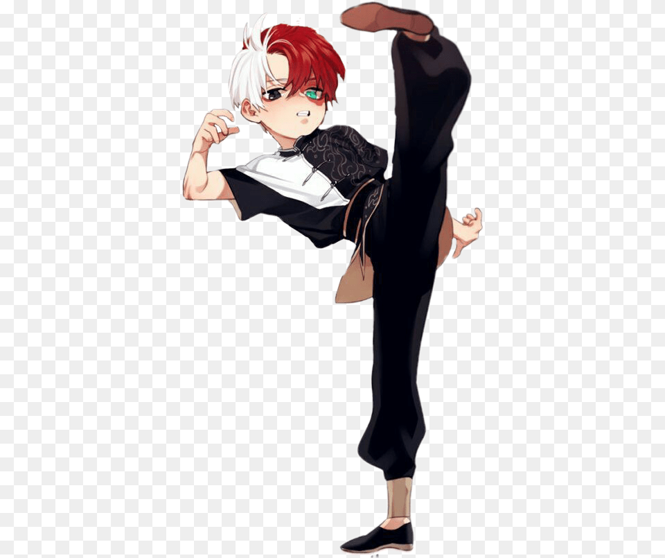 Todorokishouto Todoroki Shouto Bnha Mha Myheroacademia Anime, Book, Comics, Publication, Adult Free Png