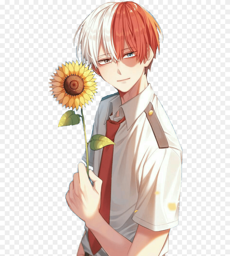 Todorokishouto Todoroki Shouto Bnha Myheroacademia Cute Todoroki With Sunflowers, Adult, Person, Female, Woman Free Transparent Png