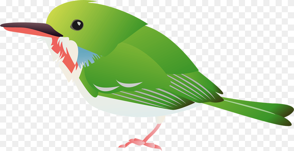 Tody Bird Clipart, Animal, Beak, Finch, Fish Png