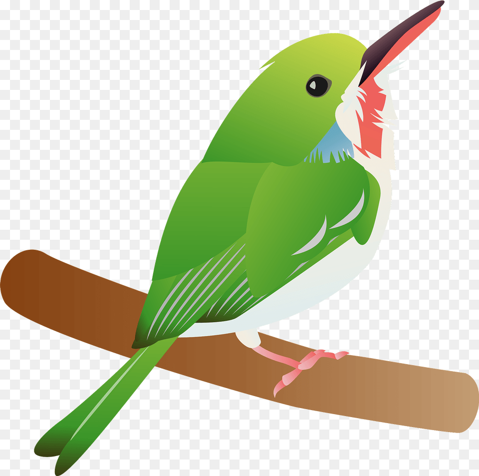 Tody Bird Perched On A Bench Clipart, Animal, Beak, Finch, Fish Free Png
