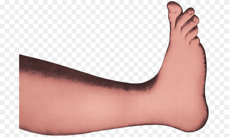 Toe, Ankle, Body Part, Person, Arm Png Image