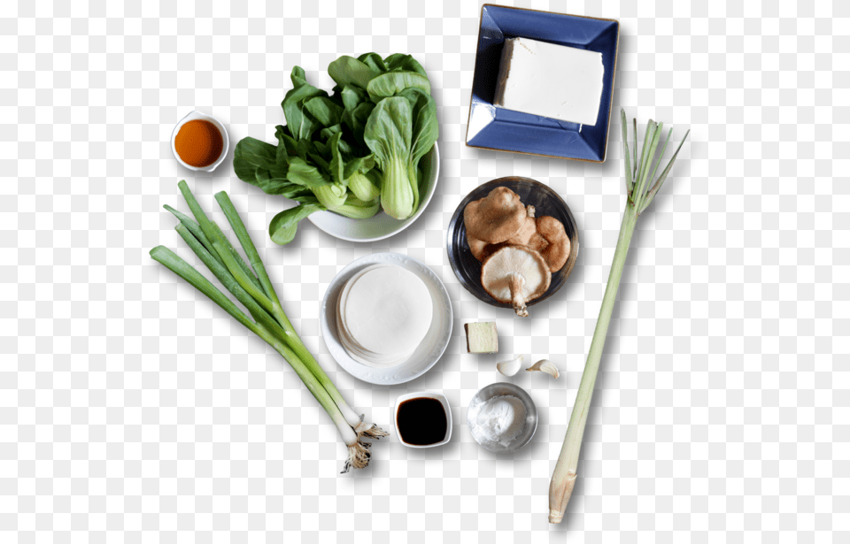 Tofu Ravioli With Glazed Baby Bok Choy Leaves Dish, Food, Produce, Leafy Green Vegetable, Plant Free Png Download