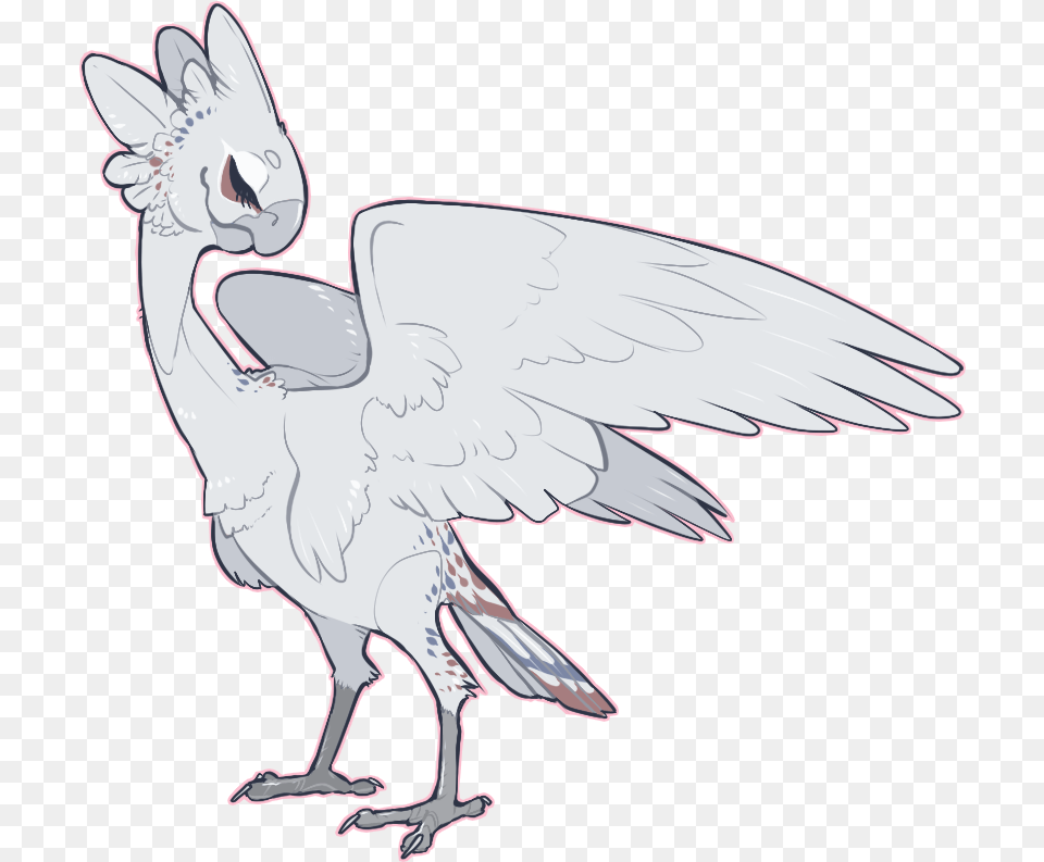 Togetic Crane, Animal, Bird, Vulture Free Png