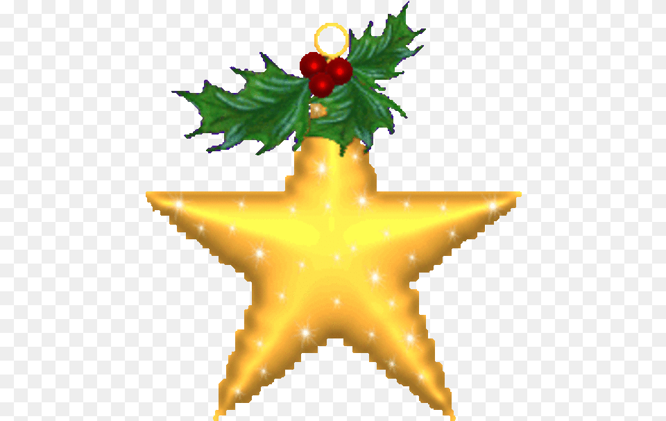 Toiles Bottes Et Sapins De Nol Dcembre Christmas Star Gif, Leaf, Plant, Symbol, Star Symbol Free Png