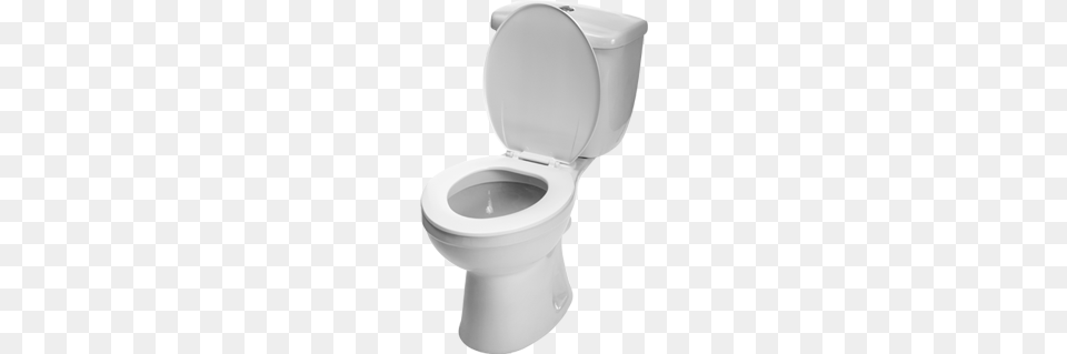 Toilet, Indoors, Bathroom, Room Free Png Download