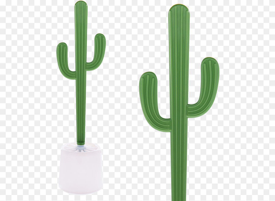 Toilet Brush, Cactus, Plant Png Image