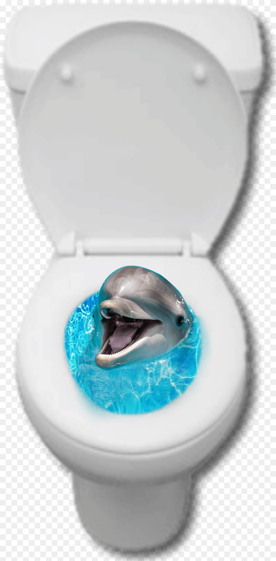 Toilet Dolphin Collage Golfinho Privada Aestheticshit Short Beaked Common Dolphin, Indoors, Bathroom, Room Png Image