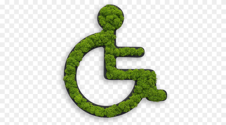 Toilet Pictogram Wheelchair With Real Reindeer Moss, Plant, Green, Text, Symbol Free Transparent Png