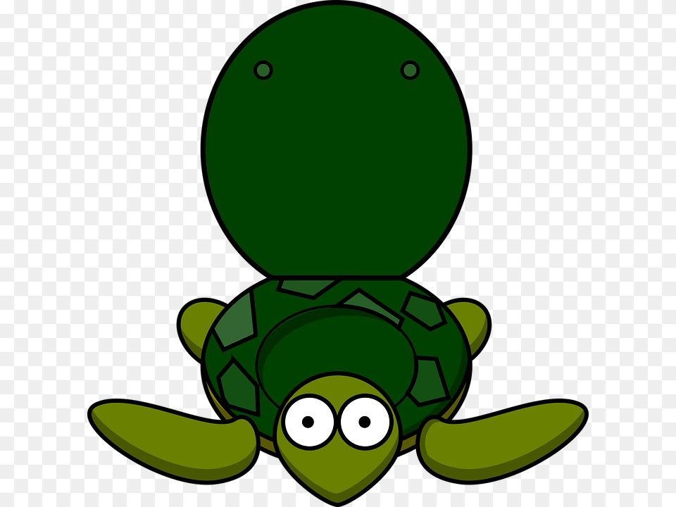 Toitle Toilet Turtle Wc, Green, Animal, Reptile, Sea Life Png Image