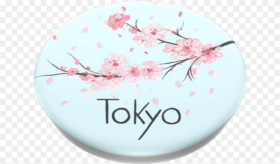 Tokyo Dot, Flower, Plant, Plate, Cherry Blossom Png Image