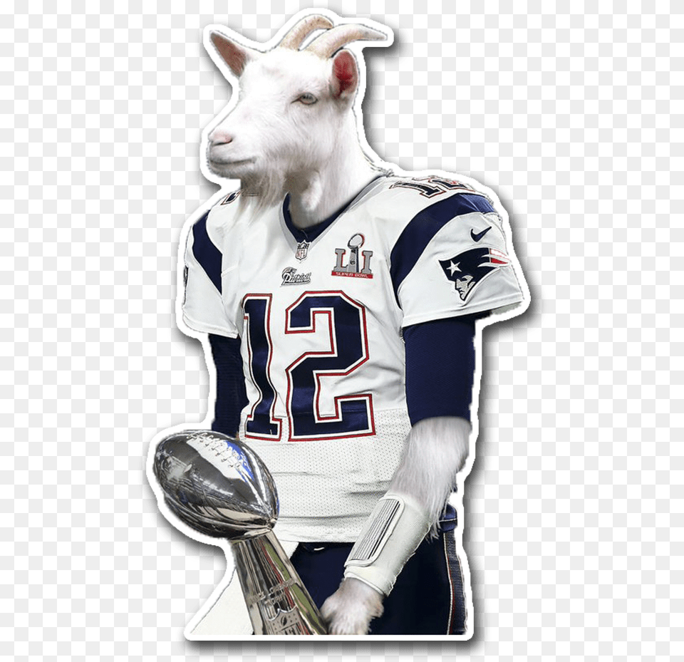 Tom Brady Goat Tom Brady Goat Head, Shirt, Clothing, Adult, Person Free Png Download
