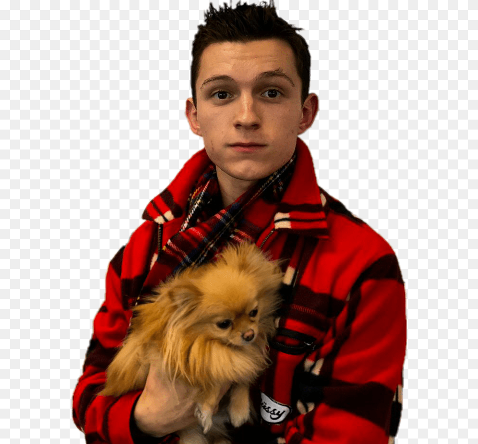 Tom Holland And Dog Download Tom Holland And A Dog, Person, Jacket, Head, Face Free Transparent Png