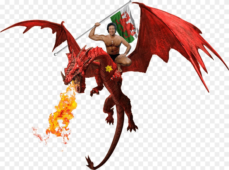 Tom Jones Flag With Dragon, Adult, Person, Male, Man Free Transparent Png