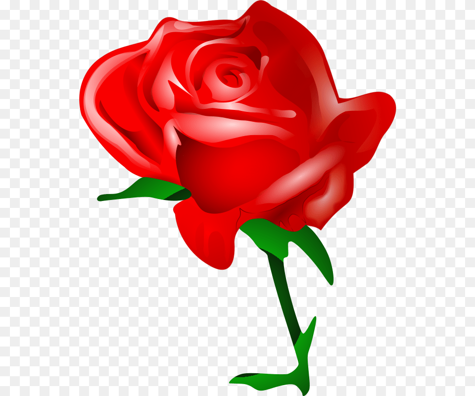 Tomas Arad Red Rose, Flower, Plant, Dynamite, Weapon Png Image